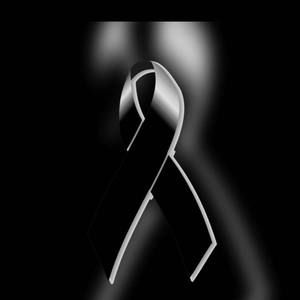 Meet your Posher, Albert